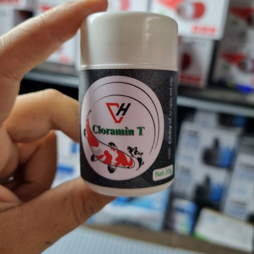 Tím Kmno4 và CloraminT khử khuẩn sát khuẩn cho hồ cá