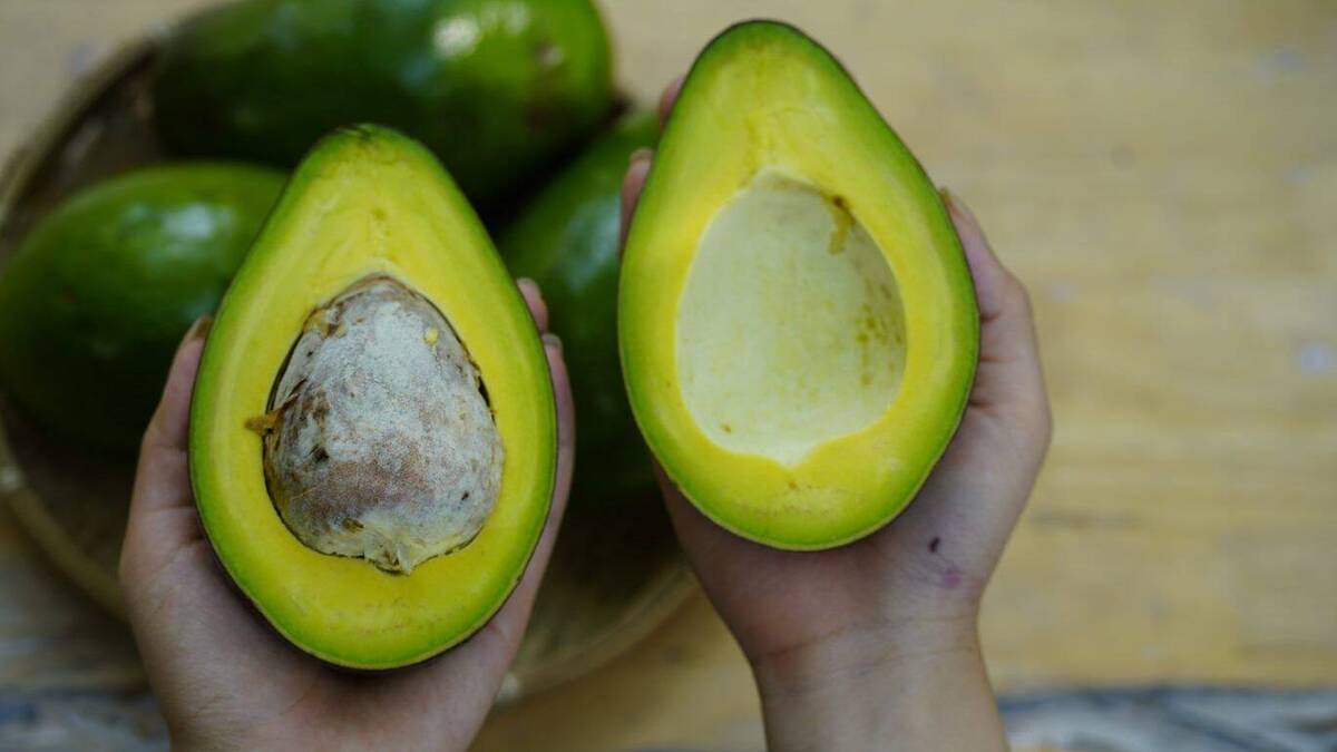 Bơ 034 Béo Thơm - Túi 1kg (3-4 Trái) - Foodmap Fruit