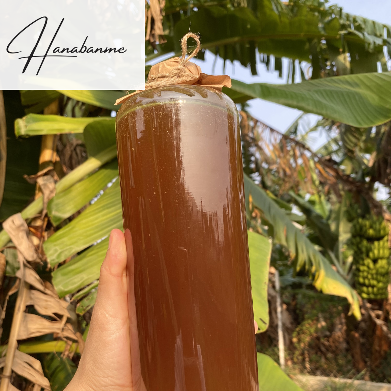 Mật ong nguyên chất, mật ong hoa cà phê