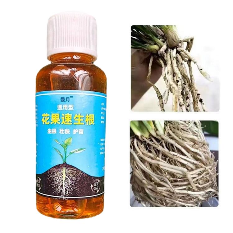 Root Enhancer for Plants Fertilizer Solution for Plant Growth Liquid Root Stimulator Root Booster for Plant Flower Transplanting Root Growth Enhancer 1.7 Fl Oz everywhere