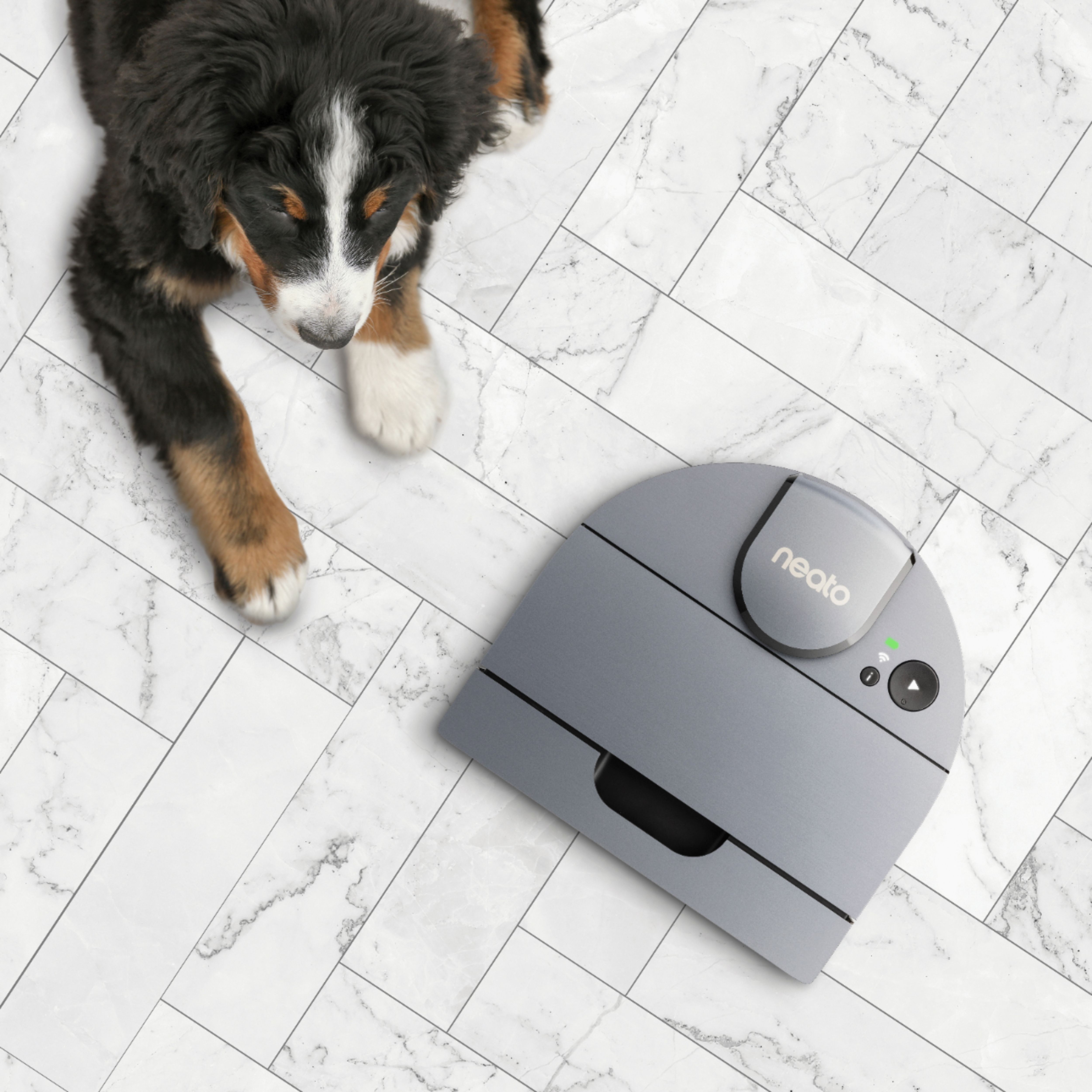 Robot hút bụi Neato D10