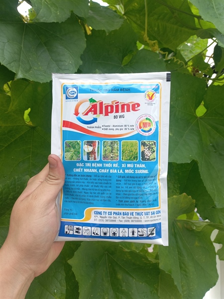 Thuốc trừ nấm bệnh alpine 80wg 100g