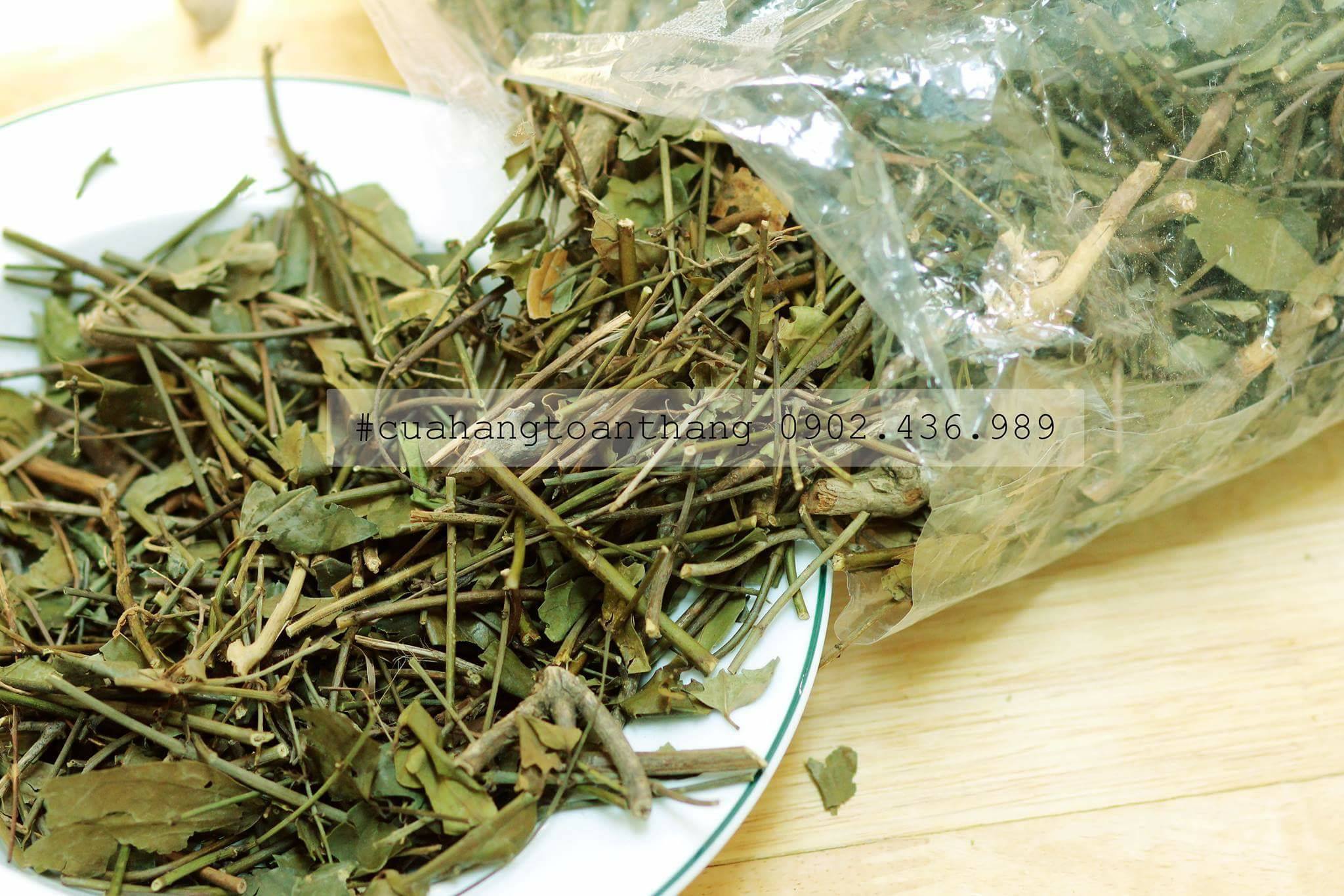 CHÈ VẰNG / TRÀ VẰNG SẺ LỢI SỮA NGUYÊN CHẤT