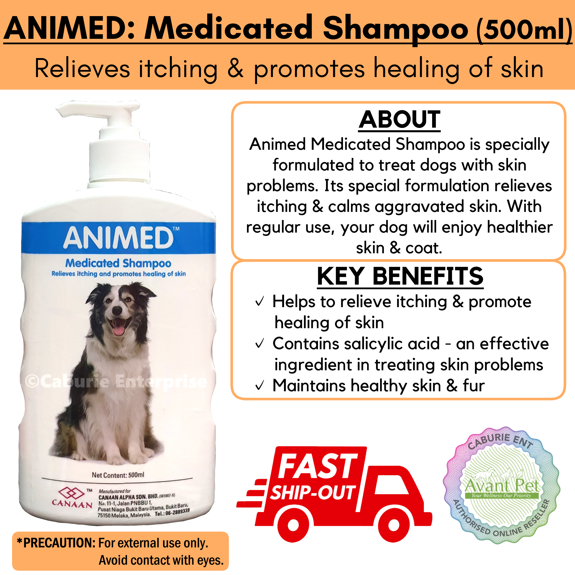Can I Use Medicated Shampoo On My Dog