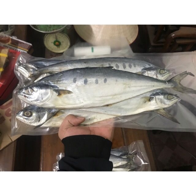 1KG CÁ BÈ BÈ (HỌ CÁ THU) THỊT THƠM CHẮC