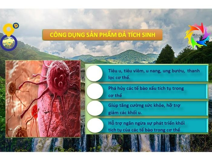 THỰC PHẨM CHỨC NĂNG ĐẢ TÍCH SINH