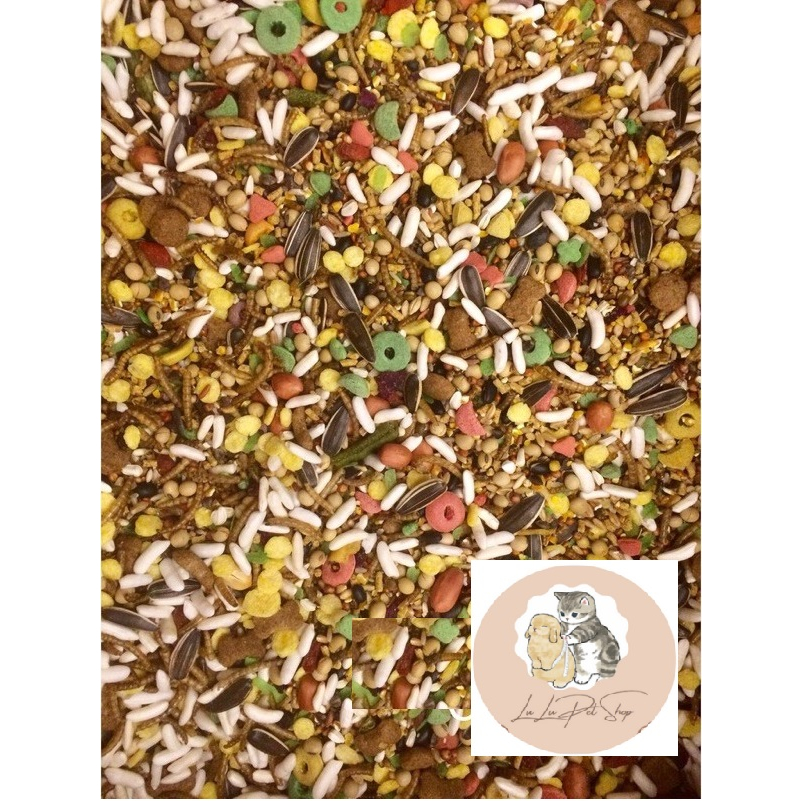 Thức ăn hamster cao cấp 500g - Chuột Hamster