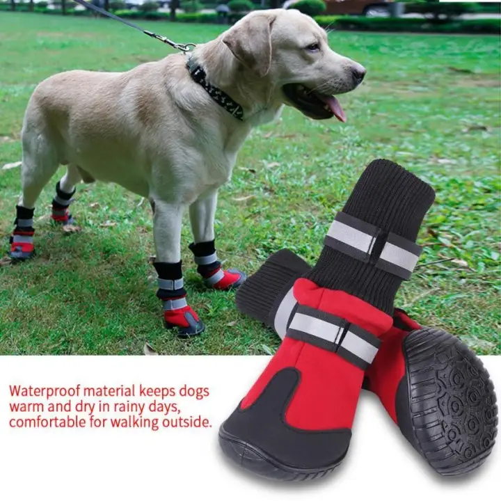 large dog shoes