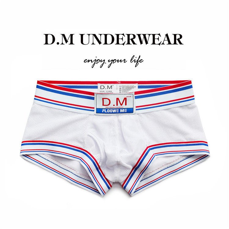 Men's Underwear Low Waist Sexy Breathable Mesh Boxers Fashion