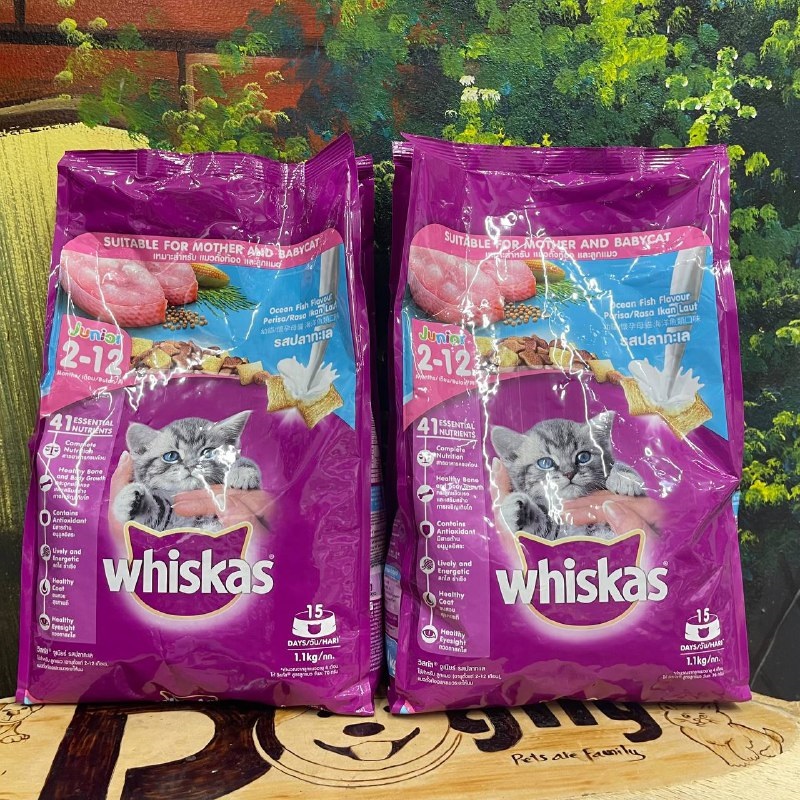 Thức ăn mèo con Whiskas 1,1kg