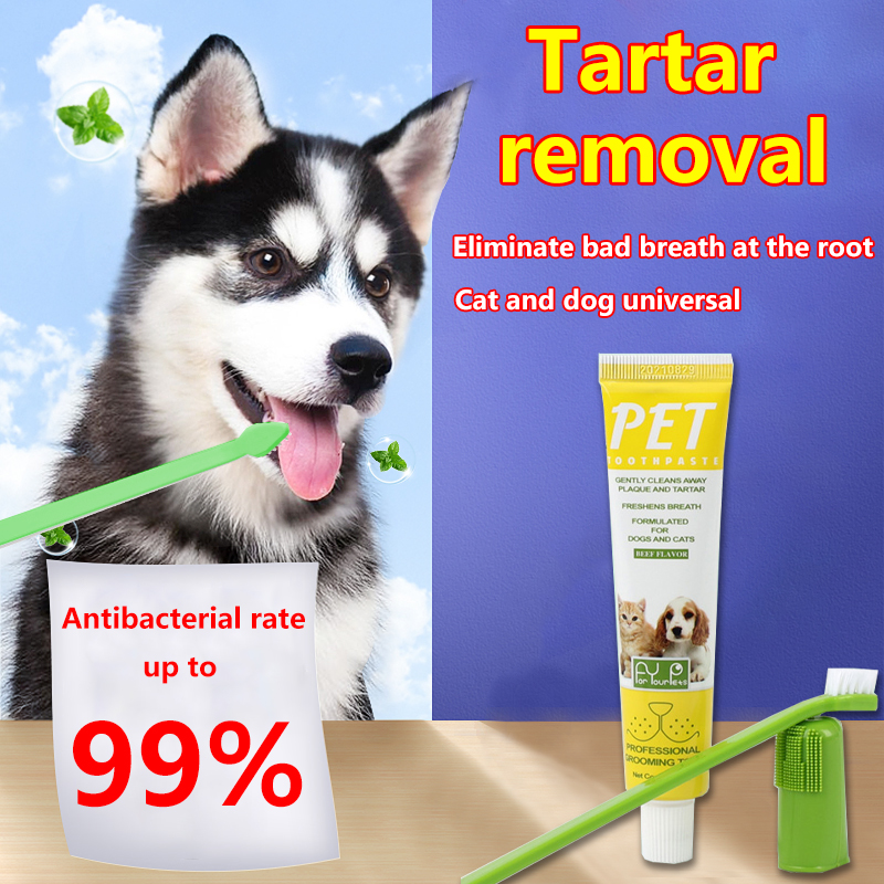 Will Toothpaste Kill A Dog