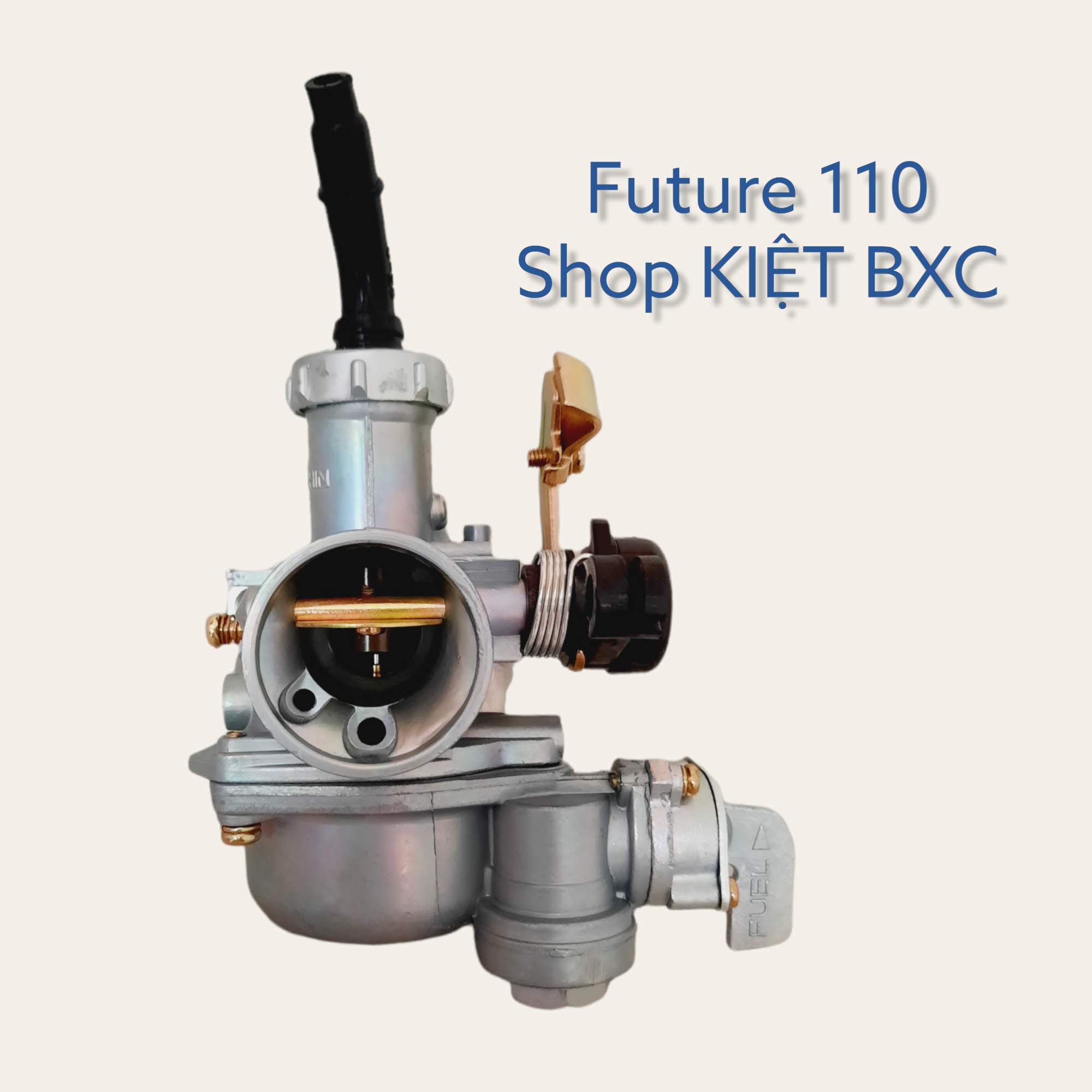 Bộ chế hòa khí : Future 110