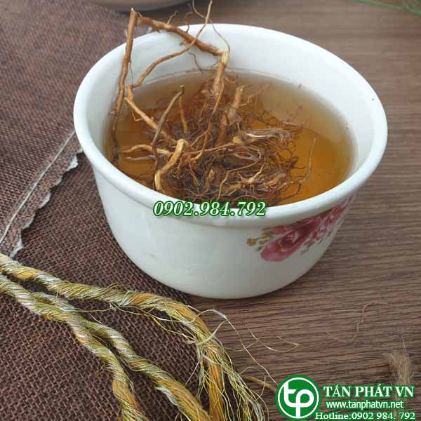 Rễ cây bồ công anh khô 500g - Tấn Phát