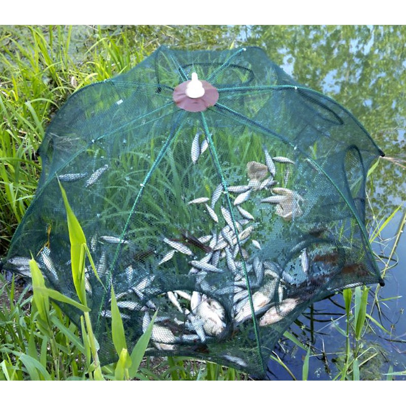 Lưới Bát Quái Bắt Cá, Tôm, Lươn, Trạch