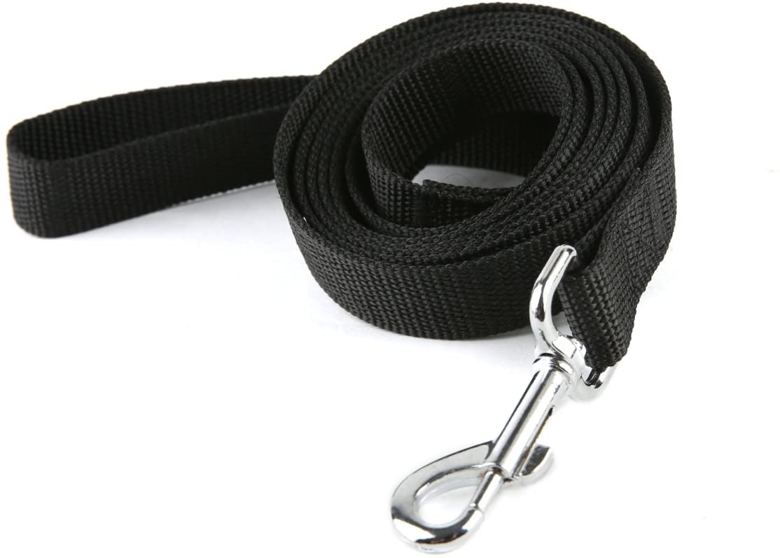 frisco solid nylon dog leash