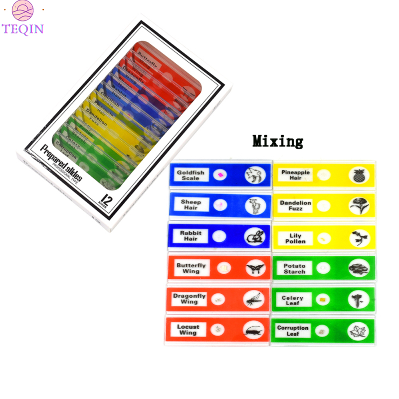 TEQIN IN stock 12pcs/set Plastic Microscope Slides Biological Specimen with for Children Student Microscope Enlighten Education