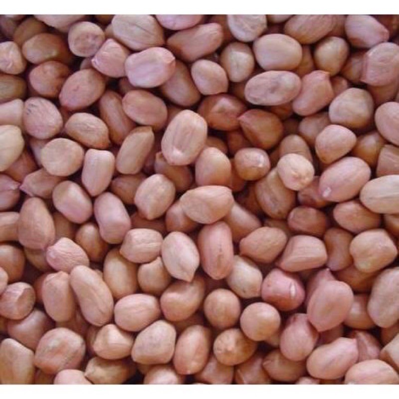 1kg Đậu phộng Huế ( hạt lạc ) hạt nhỏ, non ngọt