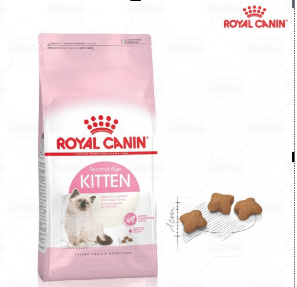 Royal canin kitten 10kg - thức ăn mèo