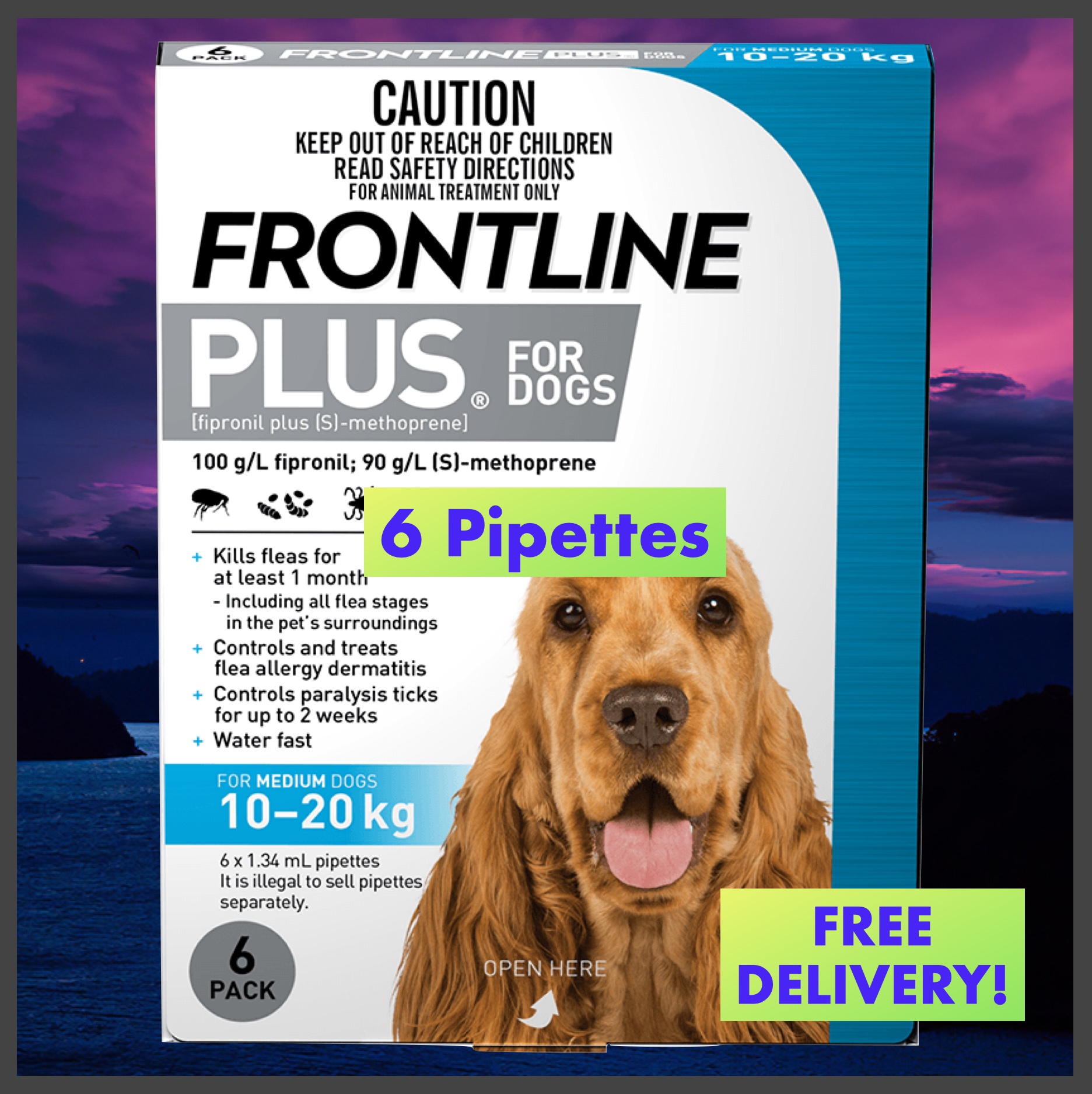 frontline plus medium dog 6 pack