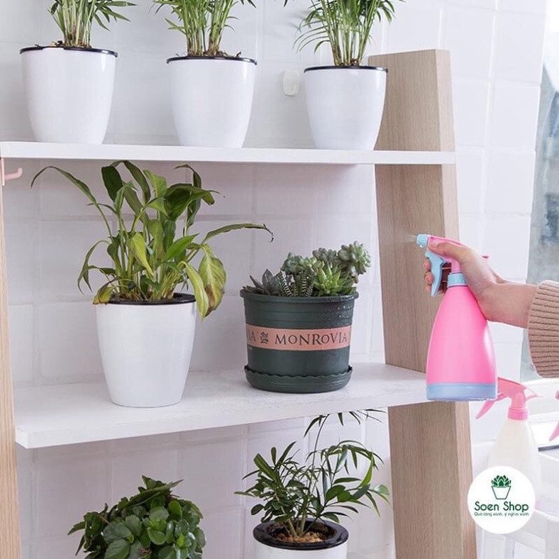 Bình xịt tưới hoa, cây cảnh, rau