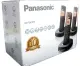 PANASONIC KX-TGC313. 