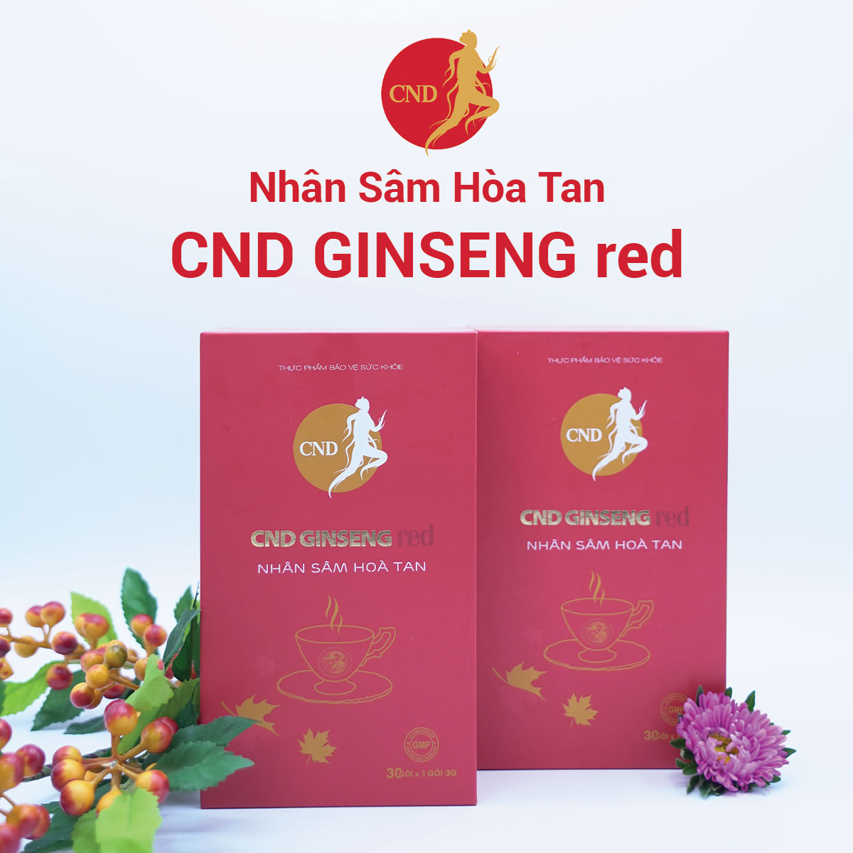 Nhân Sâm Hòa Tan CND GINSENG red - Hộp 30 gói