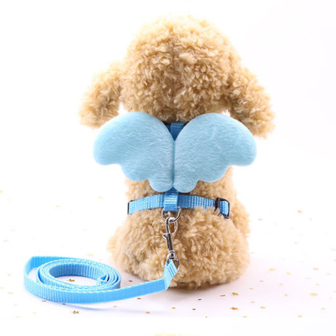 Dây dắt chó mèo cánh thiên thần