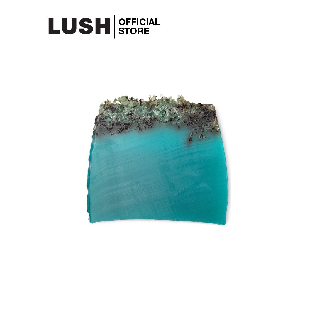 LUSH สบู่ก้อน SEA VEGETABLE SOAP 120g Lazada.co.th