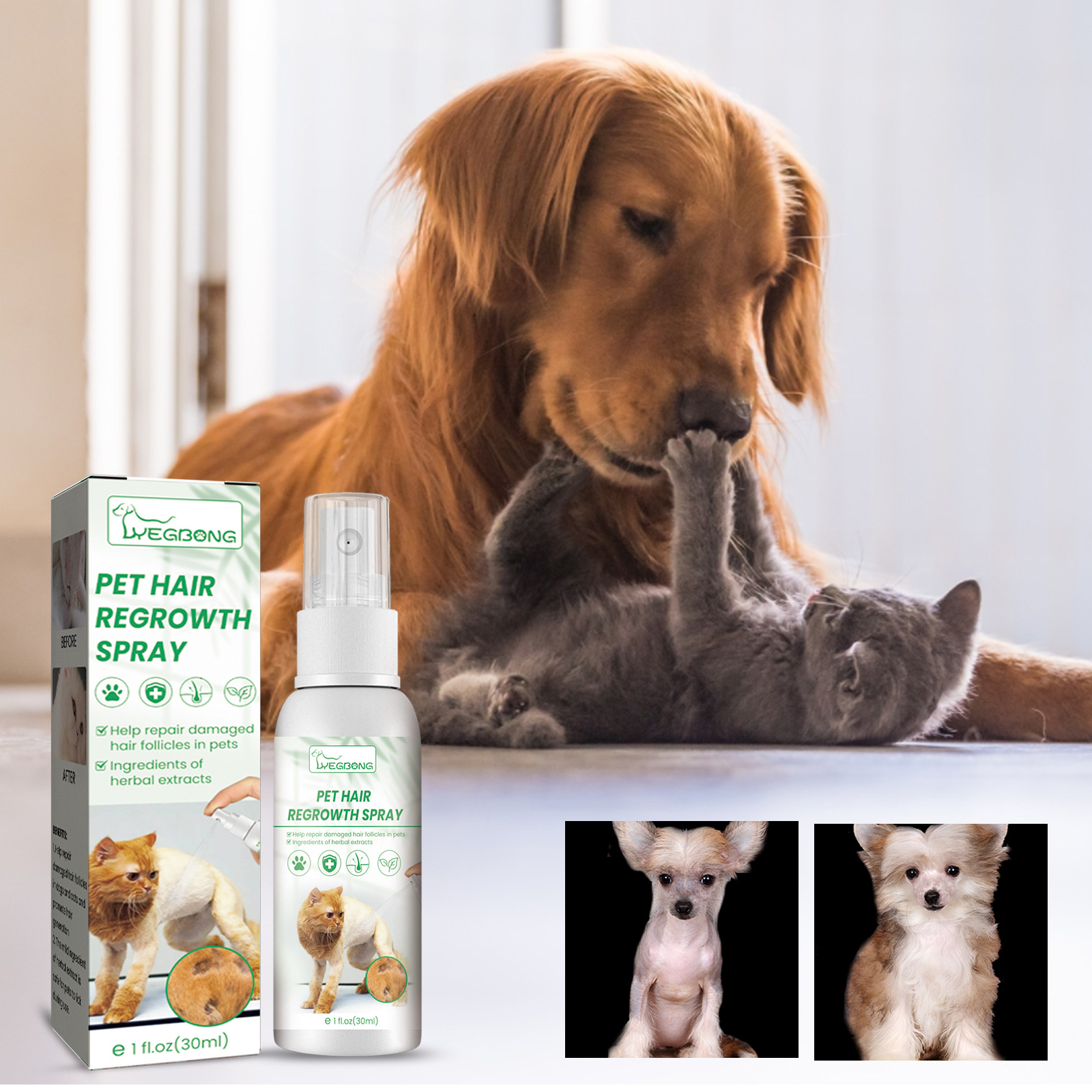%E3%80%90Beauty%20Code%E3%80%91Dog%20Hair%20Loss%20Treatments%20for%20Dogs%20Cats%20Safe%20Ingredient%20Use%20on%20Body%20Promotes%20Hair%20Growth%20-%20Image%202
