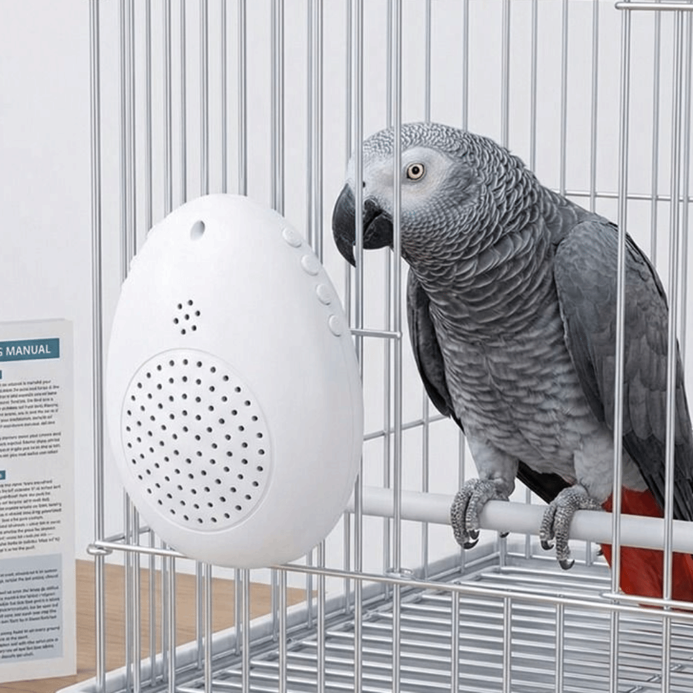 Funny Recording Bird Learning Machine Playback Interactive Speech ...