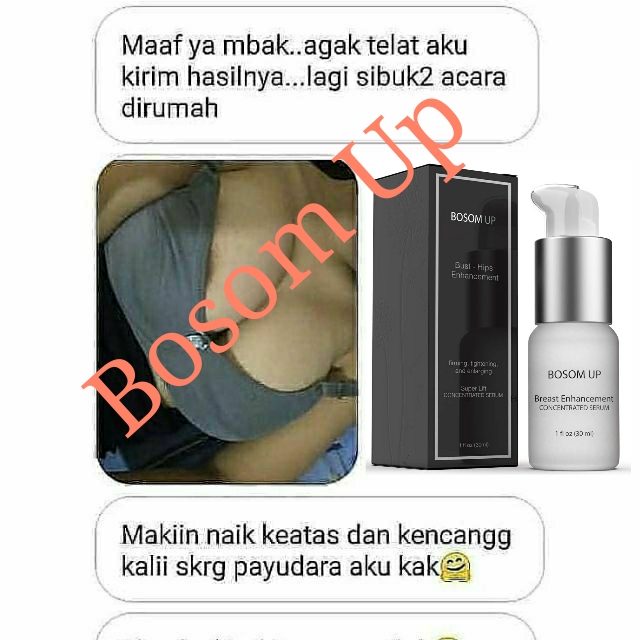 Breast Enlargement Serum Pembesar Payudara Kencang Tegang Montok Bosom Up In 3 Weeks Lazada Singapore