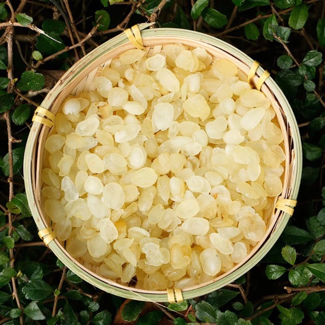 [ HCM ] hạt bồ mễ ( tuyết liên tử ) 100g