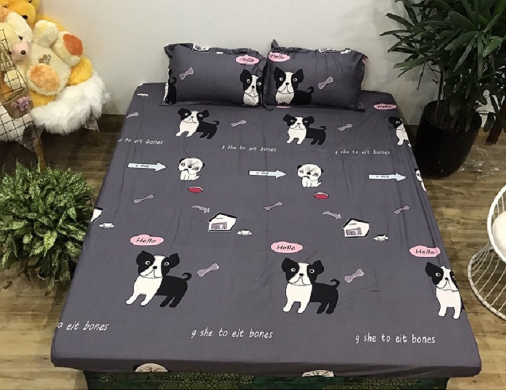Set ga gối cotton poly, ga kèm 2 vỏ gối nằm, bộ ga gối 3 món, drap giường, ga giường, đủ kích thước m2/m6/m8/2m2