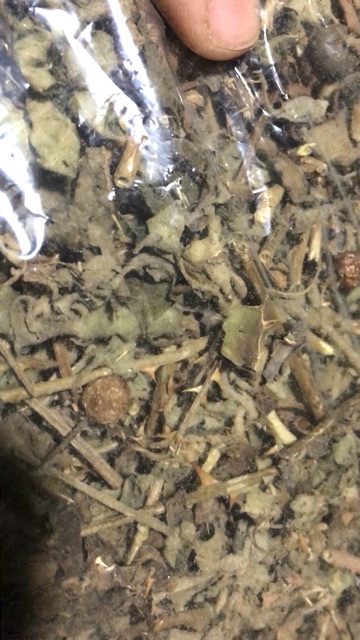 cây cà gai leo khô 1kg