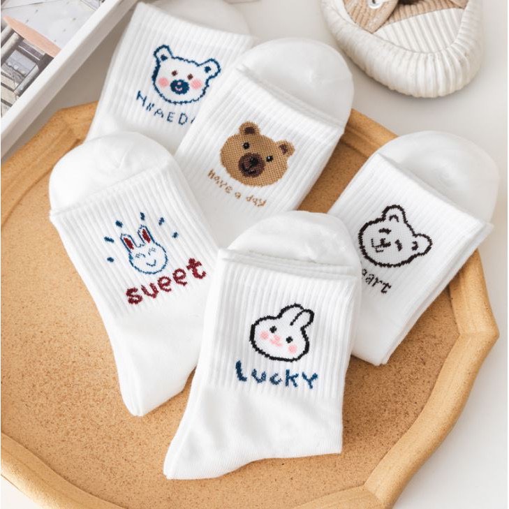 Combo 5 đôi tất nữ cổ cao Màu Trắng Mix Gấu Thỏ