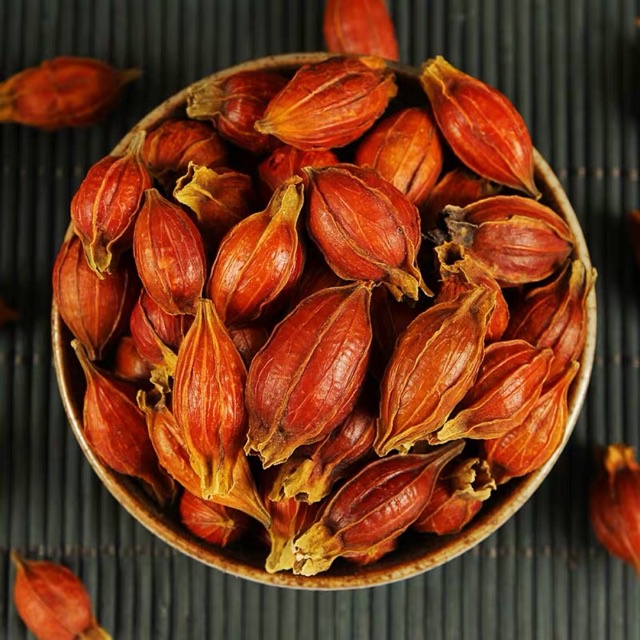 Hạt dành dành, chi tử