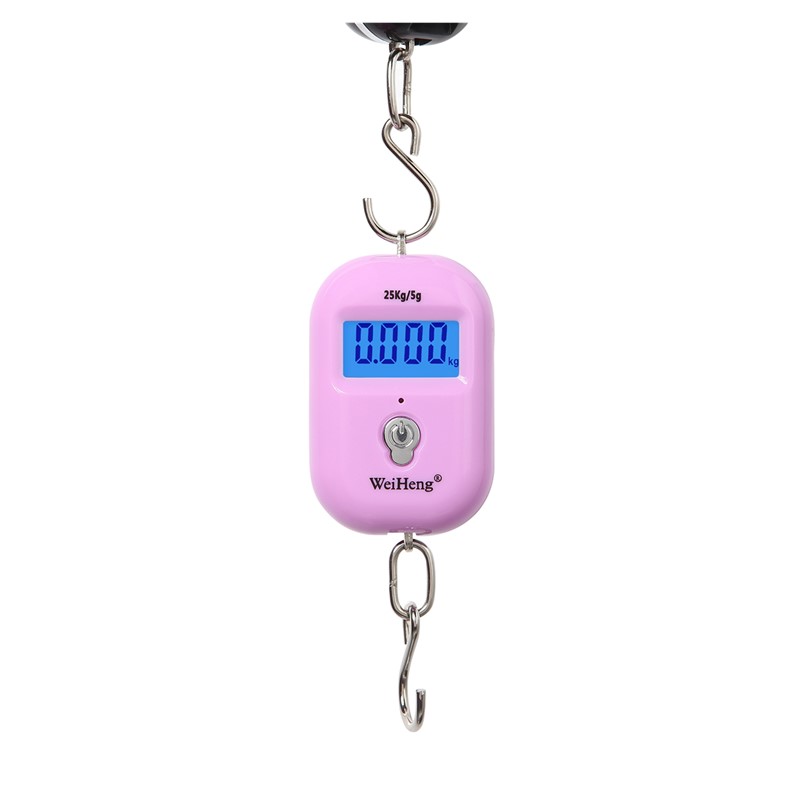 【InnovateWorld】25Kg X 5g Keychain Scale Mini LCD Portable Electronic ...