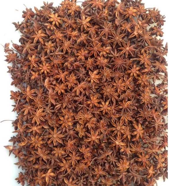 Hoa Hồi Tứ Xuyên 100g [Gia Vị Khô]