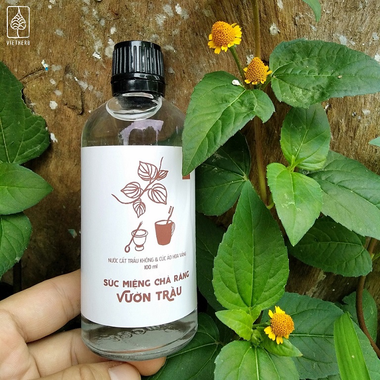NƯỚC SÚC MIỆNG - CHÀ RĂNG VƯỜN TRẦU (1.3L & 100ml) -VietHerb