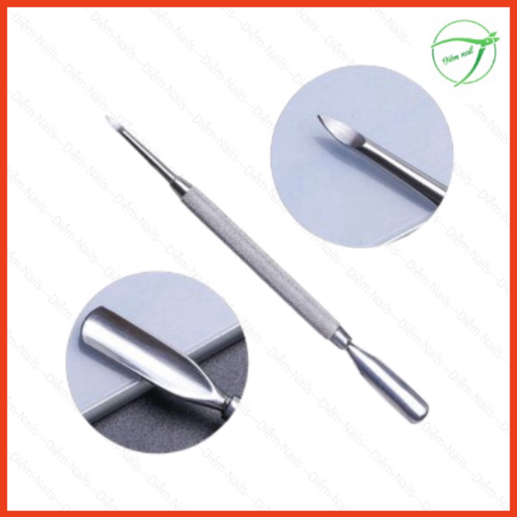 Sủi Đẩy Da Lớn, Cây Đẩy Da Chết (Sủi Móng) Giá Tốt