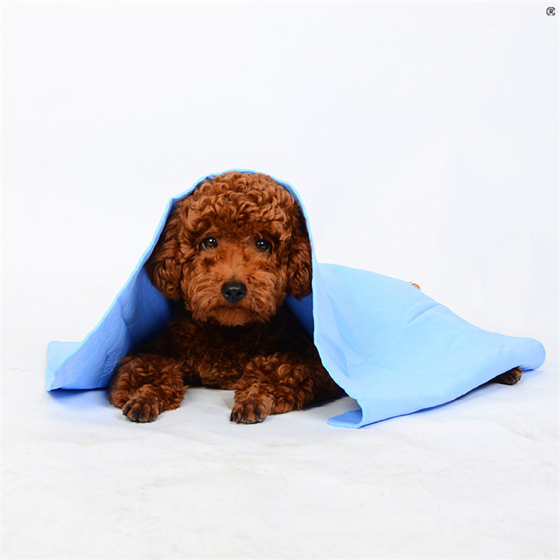 KHĂN TẮM SIÊU THẤM CHO THÚ CƯNG CLEAN CHAM