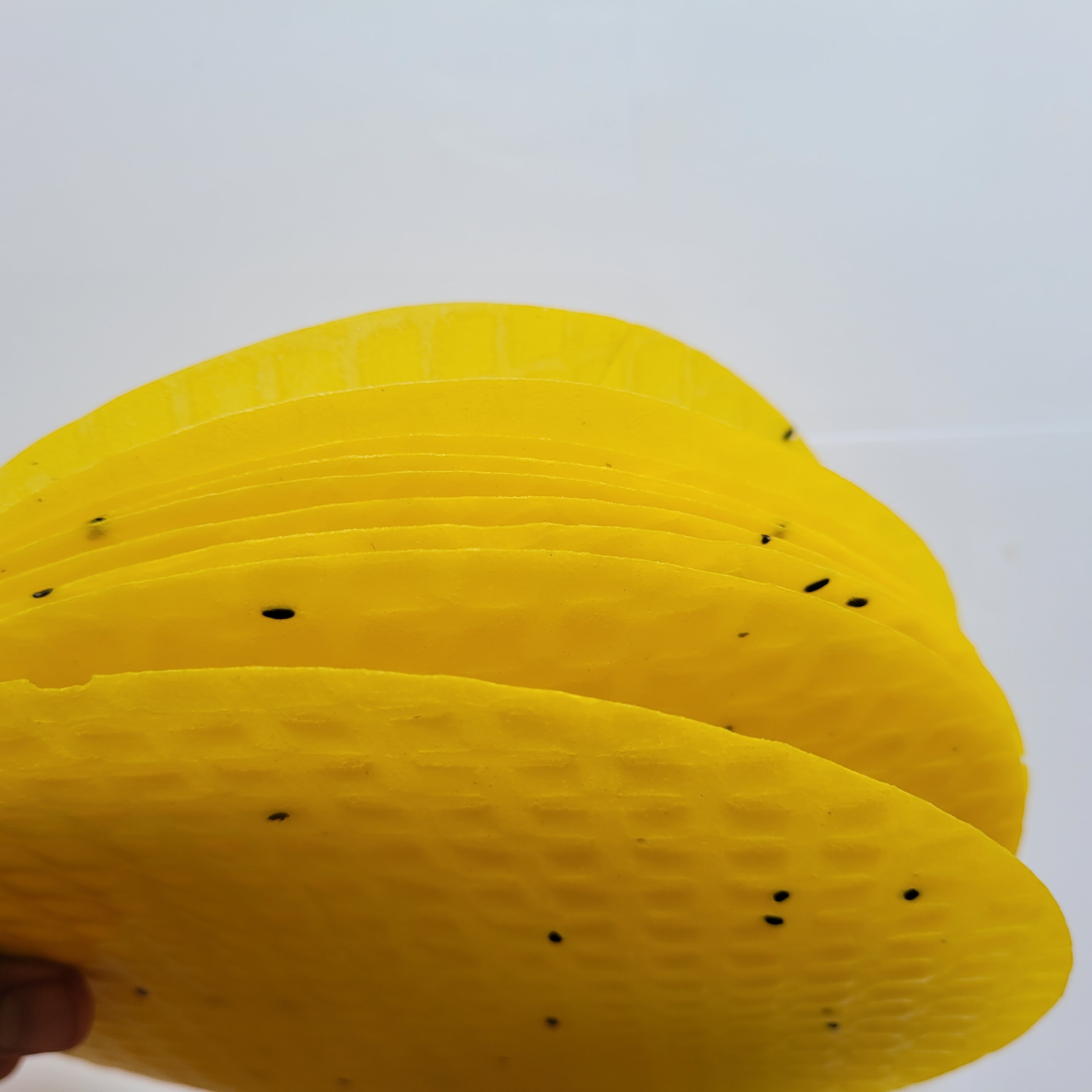 Túi 1KG Bánh tráng nướng mè vàng dùng làm bánh tráng nướng