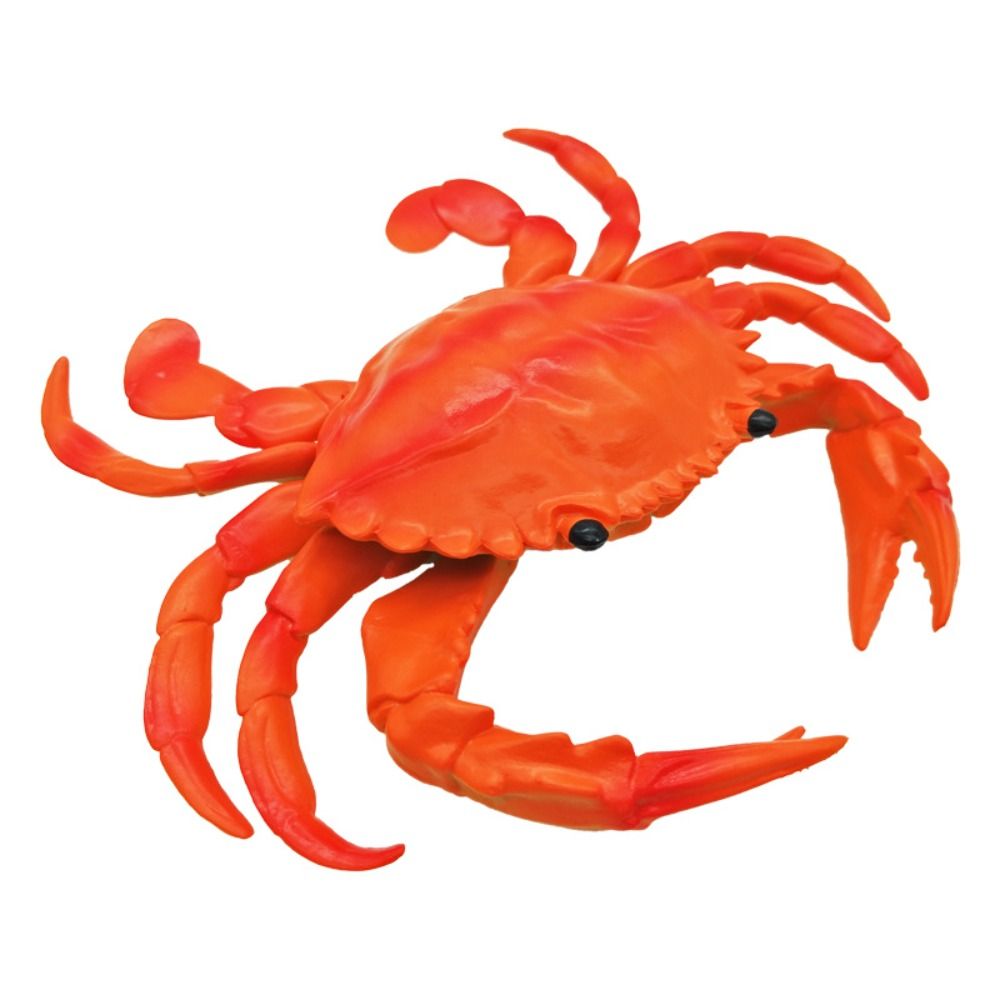 Cognitive Soundmaking Toys Marine Animal Models Simulated Crab Toy ...