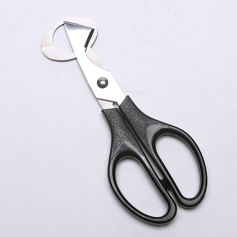 Quail egg scissors Bird egg scissors Stainless steel egg shears Egg cutter Eggshell cutter Egg opener