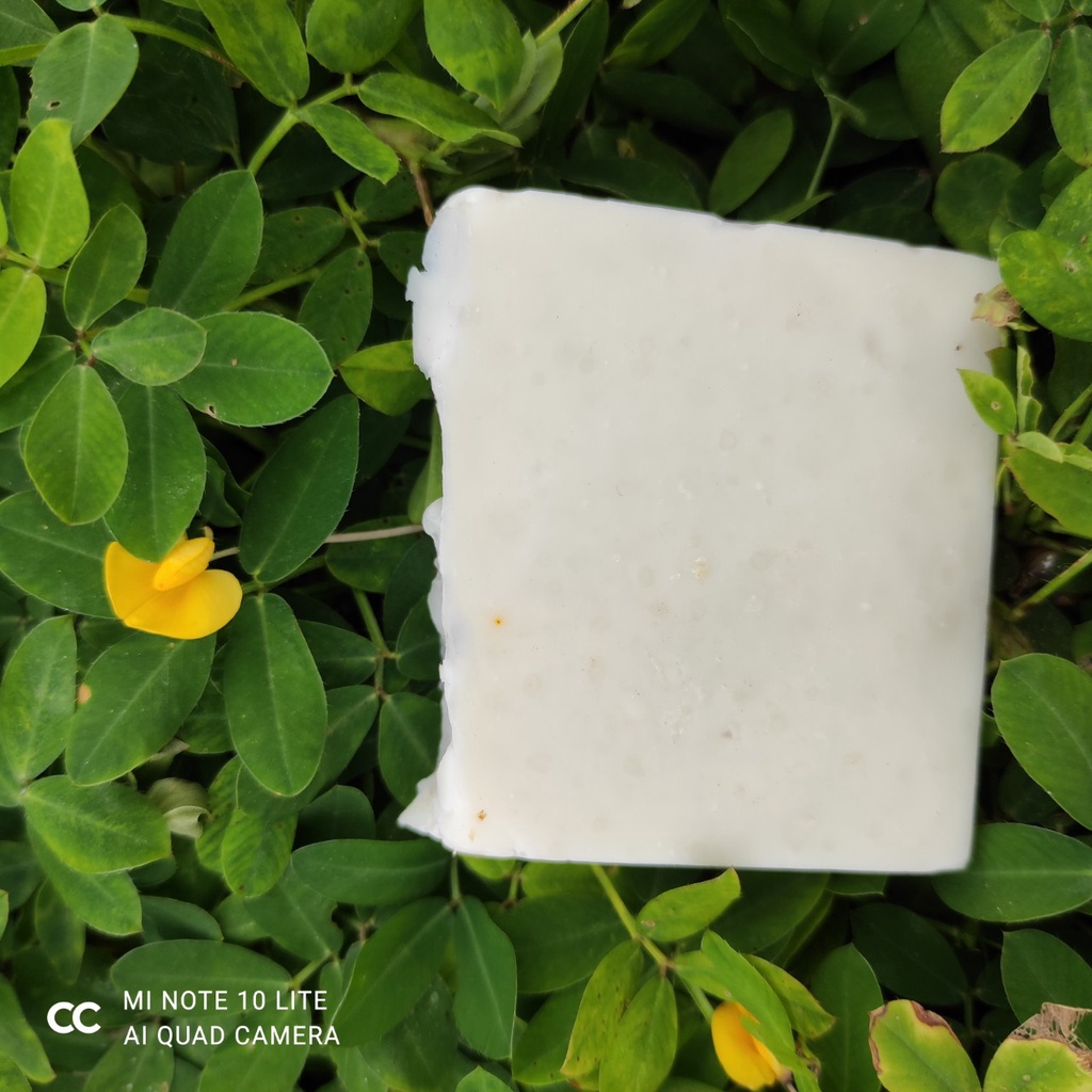 Soap tắm bồ hòn