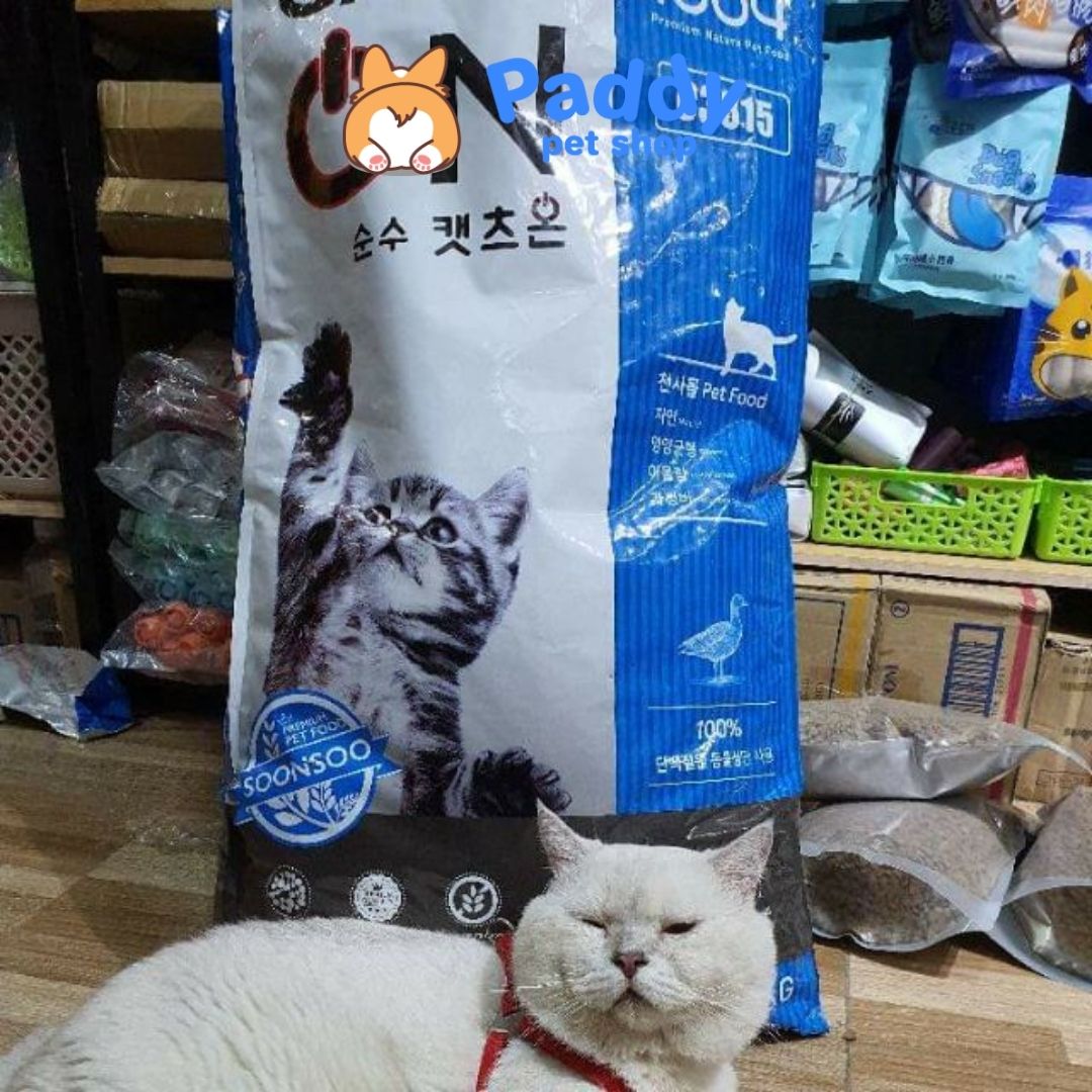 Hạt Cho Mèo Mọi Lứa Tuổi Cats On