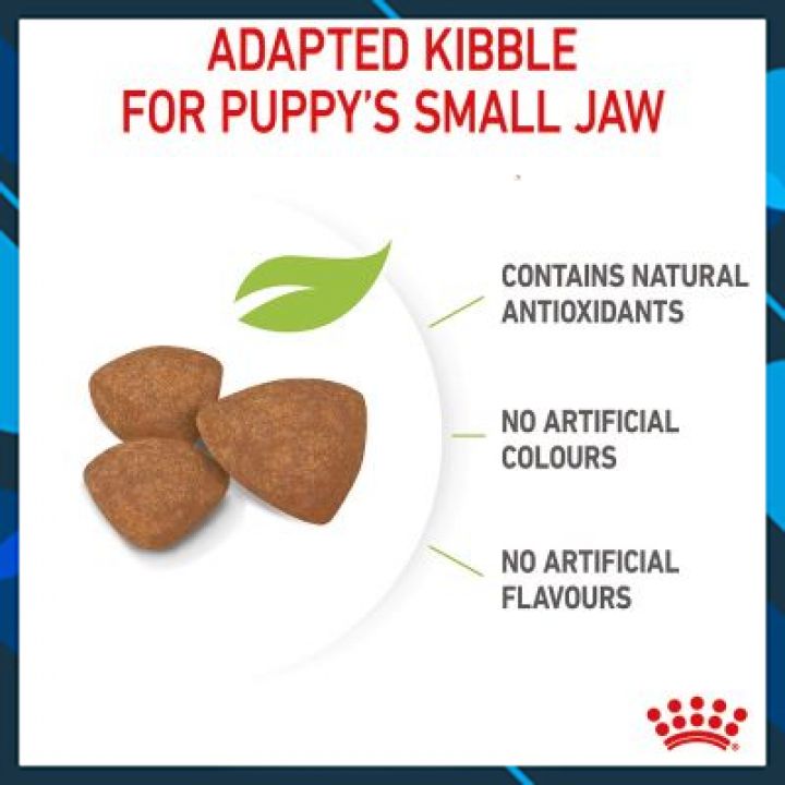 [Nhập RAISINGSTAR18, giảm 30k cho đơn 99k]Thức ăn cho chó con ROYAL CANIN MINI PUPPY