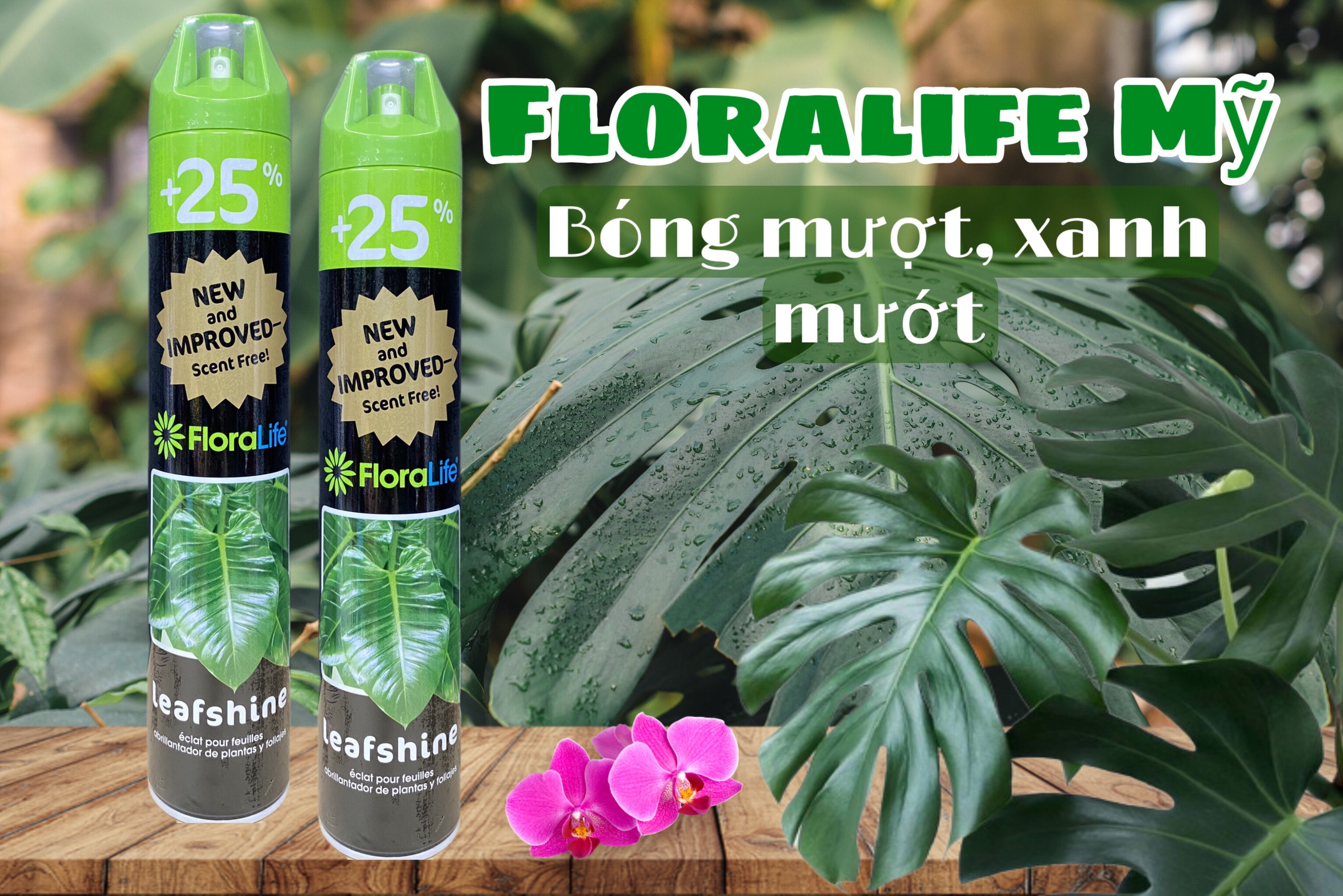 [HCM]Leaf shine- xịt bóng lá 750 ml