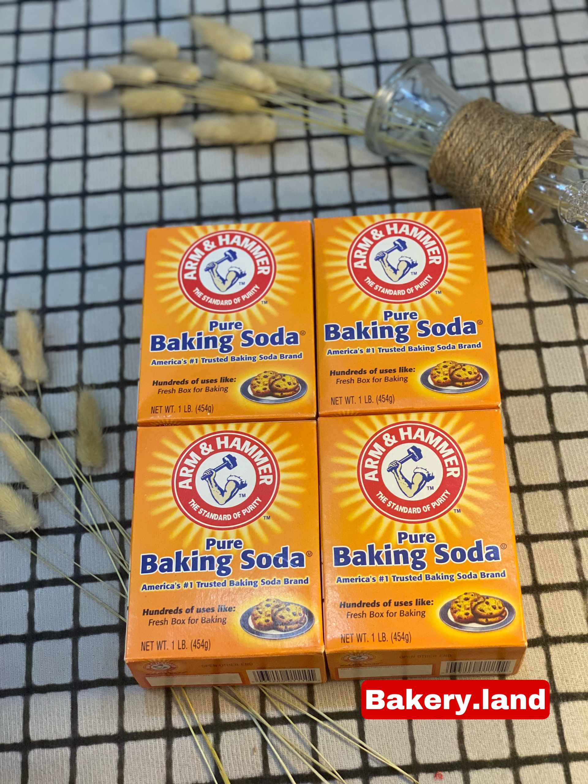Baking Soda / Muối nở Baking Soda 454g