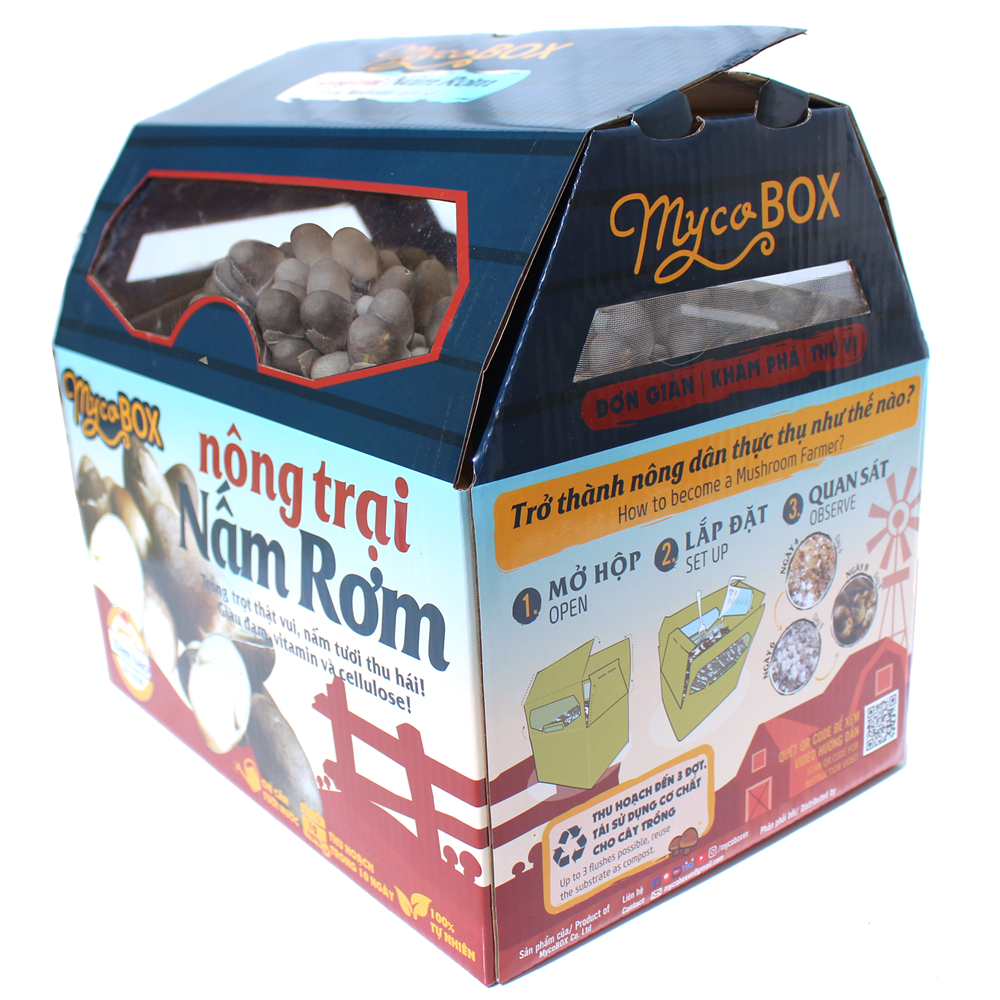 MycoBOX - Combo 2 Nông Trại Nấm Rơm
